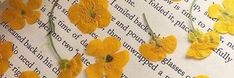 some yellow flowers on top of an open book