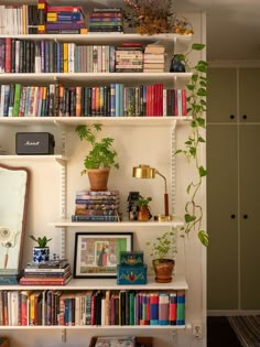 a bookshelf filled with lots of books next to a mirror and potted plants