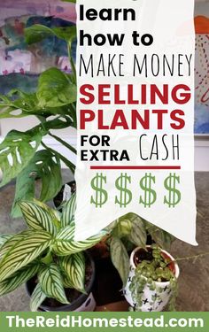 a sign that says how to make money selling plants for extra cash on the table