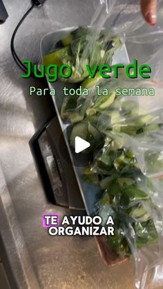 Geralbys Cayamo on Instagram: "Jugos verdes congelados 
#detox #jugosverdes #batidosdeespinacas #jugosdesinflamatorios" Chilean Recipes, Liver Recipes, Shrimp Ceviche, Healthy Drink, Detox Juice, Healthy Treats, Healthy Lunch, Healthy Drinks, Food Drinks