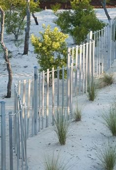 a white fence with grass growing between it and some trees in the background on a sandy beach