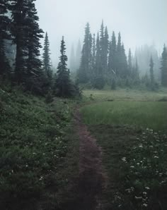 a dirt path in the middle of a grassy area with trees on both sides and foggy sky above