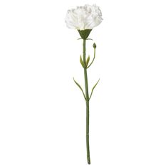 Measurements: Height: 11 ¾ " (30 Cm) Materials: Polyethylene, 100 % Polyester (100% Recycled) Ikea Artificial Flowers, Artificial Potted Plants, Artificial Bouquet, Cylinder Vase, Lace Curtains, Real Flowers, Artificial Plants, Decoration Design, Cut Flowers