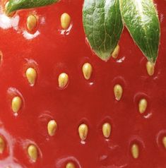 a close up of a strawberry with green leaves on it