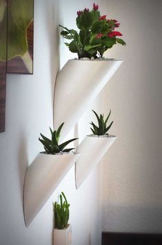 three white vases with plants in them are hanging on the side of a wall