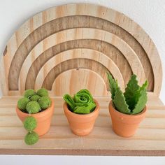 three clay pots filled with green plants on top of a wooden shelf next to a wall