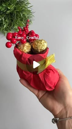 a person holding a red bag with chocolates in it and berries on the top