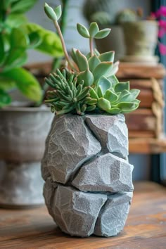 a plant in a rock vase on a table