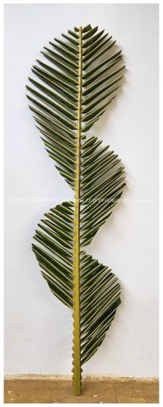 a large green leaf sitting on top of a white wall