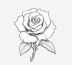 a black and white drawing of a rose