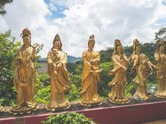 golden statues are lined up in a row on a ledge near some bushes and trees