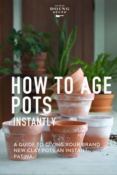 potted plants with the title how to age pots instantly, a guide to giving your brand new clay pots an instant