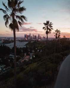 palm trees line the street as the sun sets in front of a cityscape