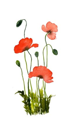 watercolor painting of red poppies on white paper with green leaves and grass in the foreground