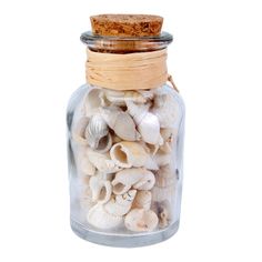 a glass jar filled with sea shells on a white background