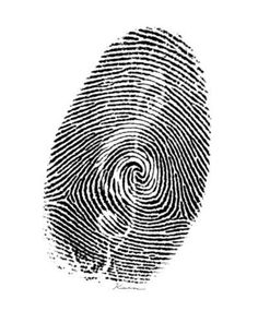 a black and white image of a fingerprint on a white background stock photo 5479