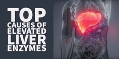 Elevated liver enzymes may act as a warning that something is damaging your liver and should never be ignored.  Learn what causes elevated liver enzymes, what symptoms you may present with, and more importantly how Estrogen Supplements, Taking Vitamins, Healthy Liver Diet, Thyroid Surgery, Thyroid Test, Thyroid Medication, Diet Guide