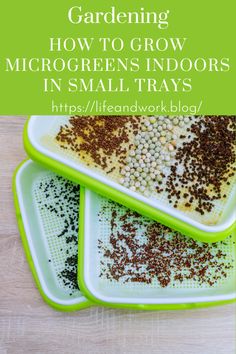 Garden And Yard - How to Grow Microgreens Indoors in Small Trays How To Grow Microgreens Indoors, How To Grow Watercress Indoors, How To Grow Broccoli Microgreens, Grow Microgreens Indoors, How To Grow Microgreens At Home, Growing Microgreens Indoors, Micro Greens Growing Indoors, Microgreens Growing Indoor, How To Grow Microgreens