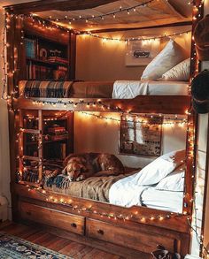 a dog laying on top of a wooden bunk bed in a room with lights strung around it