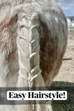 an image of a horse with braids in it's mane and the words easy hairstyle