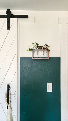 This sunny side of our bedroom is perfect for propagating plans in our propagation station. #bedroom #bohobedroom #plants #propagation #propagating #bedroomideas #barndoor Plants Propagation, Bedroom Boho, Found On Amazon