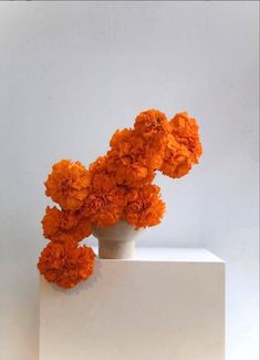 an arrangement of orange flowers in a white square vase on a pedestal against a gray background