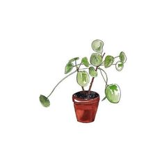 a drawing of a potted plant with green leaves