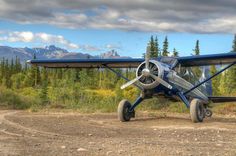 a small blue airplane parked on top of a dirt road next to trees and mountains