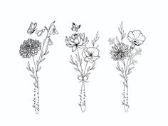 four different flowers are drawn in black and white on a white background, each with one single flower