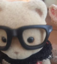 a teddy bear wearing glasses and a scarf