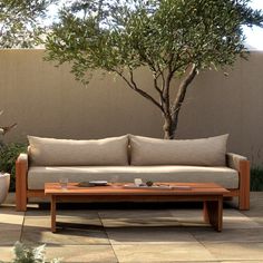 a couch sitting on top of a wooden coffee table next to a potted tree