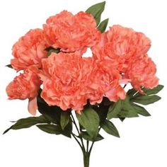 pink carnations are in a vase on a white background with green leaves and stems