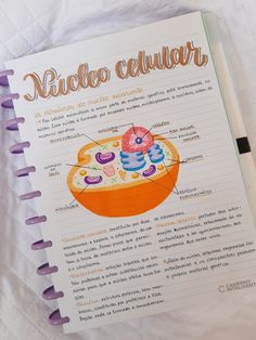 a recipe book with an image of a cake in spanish on the front and inside