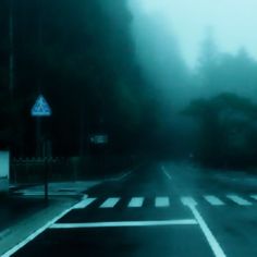 a foggy street with trees in the background and a blue traffic sign on it