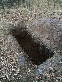 an open hole in the ground that has been dug