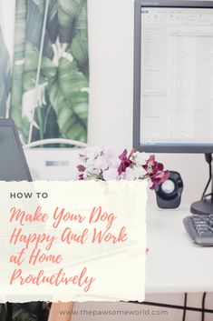 a woman sitting in front of a computer with the words how to make your dog happy and work at home productivity