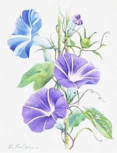 a watercolor painting of purple and blue flowers