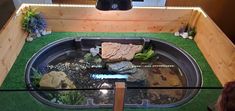 a fish tank filled with rocks and plants on top of green carpeted flooring