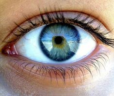 an eye with blue and yellow iris looking at the camera