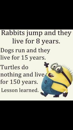 a minion is jumping up and down with the words, rabbits jump and they live for