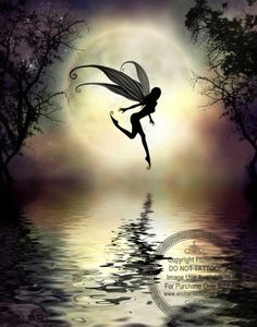 the silhouette of a fairy flying in front of a full moon