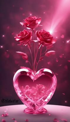 three roses in a heart shaped vase with water droplets on the floor and pink background