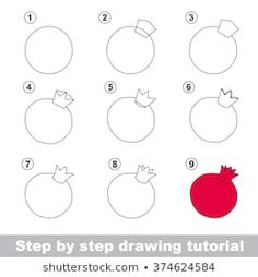 step by step drawing instructions for children to learn how to draw pomegranates