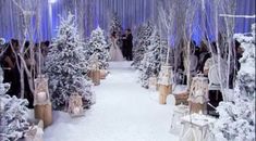 a snowy scene with trees and people in the background at a winter wedding ceremony, surrounded by blue lights