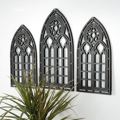 three black metal windows on the wall above a potted plant in front of it