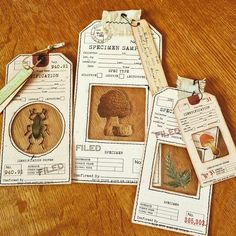 three tags with pictures of bugs and mushrooms on them sitting on a wooden table next to other items