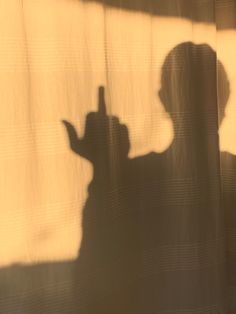 the shadow of a person's head on a curtain with a cat in it