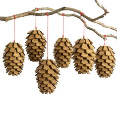 five wooden pine cones hanging from a tree branch with red string attached to the branches