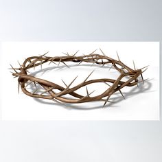 a crown of thorns on a white background poster