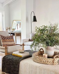 a living room filled with furniture and a potted plant on top of a table